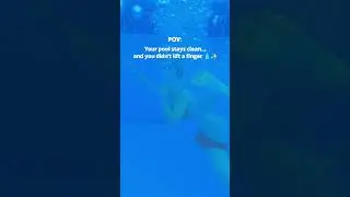 POV: You Finally Got Pool Care Right
