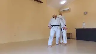 Просто дзю-дзюцу: 