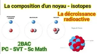 La composition d'un noyau - isotopes