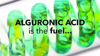 From Biotech Lab to Beauty Brand: Algenist Discovers the Limitless Potential of Algae