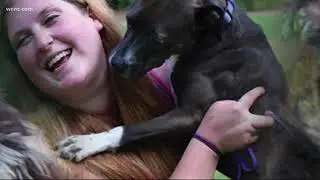 Local dog walker becomes hot commodity