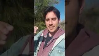 МАТИАС ДЕ СТЕФАНО - ИНТРОДАКШН ДЛЯ ПЕРВОГО СЕМИНАРА
