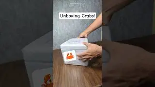 Unboxing my Favourite Crabs! #animals #fish #wildlife #pets #crabs
