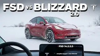 FSD 14.2.2.2 in Blizzard Conditions - Overly Confident or Genius?