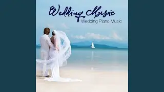 Elegant Wedding