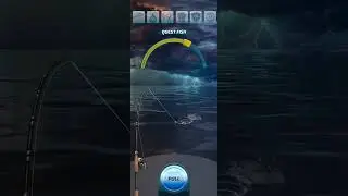 Let's fish - Night strike Black Swallower 26kg in South Pole