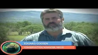 Mkuze Game Reserve new home to the king of the jungle