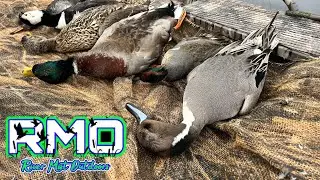 Crazy SC Duck Hunt