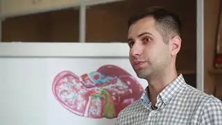 Лучший корм для кошек и собак  Pet 360. Преимущества . Полезные свойства