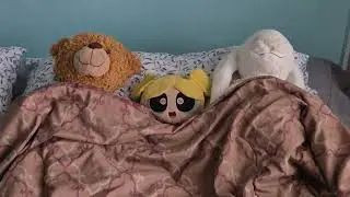 Bubbles, Starshine, and Ms. Snuggle Bunny being cozy together for @AustinLorentzen to cheer him up.