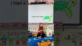 Tiny turtle #prek #songsandfingerplays