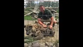Animal Adventures with Jordan: Spotted Hyena