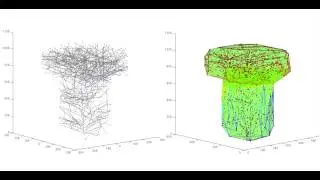 Actin Membrane Surface Dynamics