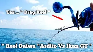 Daiwa Ardito SW TWS 300 HL | Strike perdana di sarang Ikan GT | @Mancing_Abis