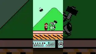 Sledge Bros in Super Mario 3! 🔥