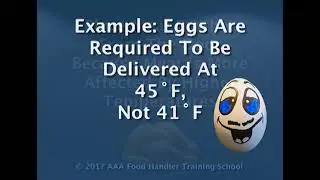 Food Storage Guidelines for Food Safety Segment