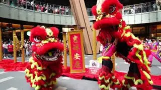 Be Careful Of Dangerous Steps In The Traditional Lion And Dragon Dance Art