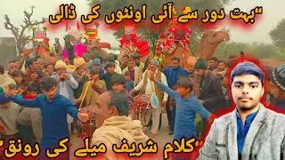 کلام شریف میلہ 2026 | اونٹ، لنگر اور بے مثال رونقیں 🐪🐪❤️‍🔥#camel #melavlog 