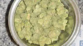 Permanent Marker Strain Review + Papaya Punch
