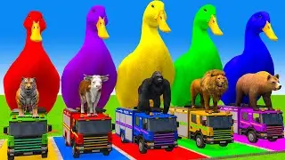Long Slide Game With Cow Elephant Gorilla Hippopotamus Tiger 3d Animal Game Funny 3d Animals