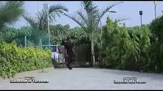 Angara amizine songft @abdull_fkd & Rashida Niger