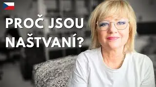 Proč jsou lidi v Česku tak naštvaní? Tohle je ten důvod