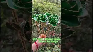 Gold Dipped Roses - Christmas Gift - Natural Flower Rose Material#christmasdecoration