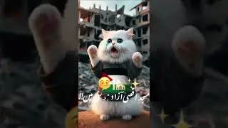 Palestine ko boil GA ho  😭😭.           #aicat #shortvideo #viralvideo