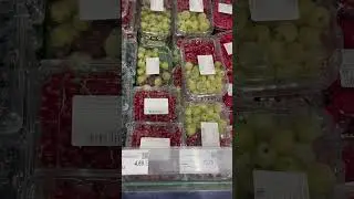 Gooseberry, red ribes, redcurrant. Green GreenCity