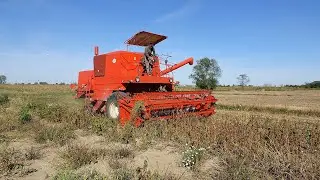Żniwa Soja 2025 cz.26 Bizon Super Z056