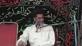 Allama Zafir Abbas Naqvi Alqab Imam Ali as Best Majlis