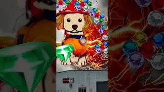 I am the ultimate pupform Chaos control #sonicthehedgehog #chaoscontrol #cockapoo