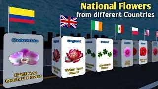 National Flowers from Different Countries | World Data Info