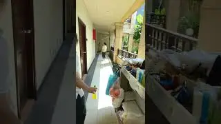 Отель Plumeria Resort,  кратко