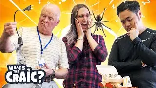 Domestic difficulties: annoying and surprising things in different countries