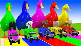 Long Slide Game with Cow Elephant Gorilla Hippopotamus Tiger 3d Animal Game Funny 3d Animals