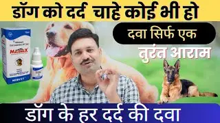 डॉग के हर दर्द की दवा Melonex syrup For Dog / pain relief medicine for dogs