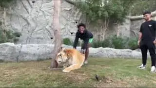 iShowSpeed Barks at a Tiger!! (Best Moments)!!!