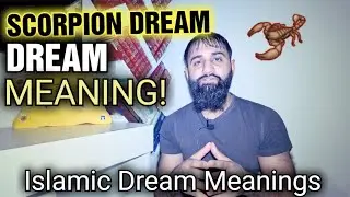 SCORPION DREAM INTERPRETATION - WHY YOU SAW SCORPION IN YOUR DREAM - ISLAMIC DREAM MEANINGS