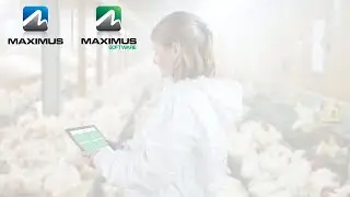 MAXIMUS Software | Mobile App - Gefl&uuml;gel