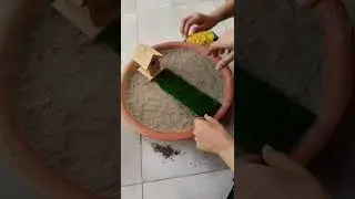 How to make #fairygarden||little fairy garden #decorate ideas||Make fairy garden with kids.