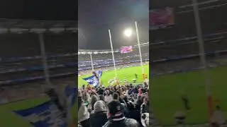 GEELONG ARE IN THE GRAND FINAL #geelongcats #afl #footy #grandfinal #aussierules