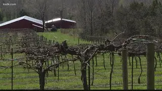 Inside Augusta's transformation into 'The Napa Valley of the Midwest'