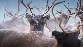 Welcome to Fun&auml;sdalen and R&ouml;ros