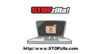 The Cost of Cyber Crime