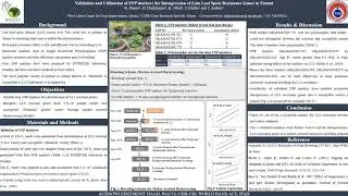 Validation and utilization of SNP markers in peanut breeding
