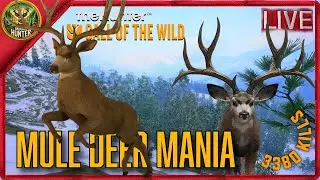 MULEY GRIND  The road to 4k kills| theHunter Call of the wild
