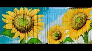 Seeds of Sunshine