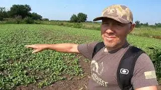 Water Hole Update & Food Plot Strategy