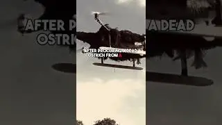 Ostrich copter